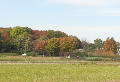 e0172950_1729364.jpg