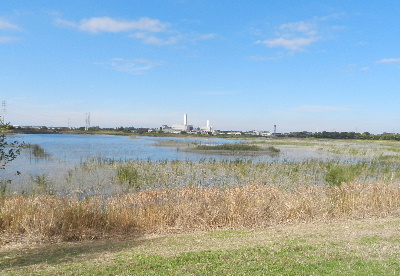 e0172950_1730102.jpg