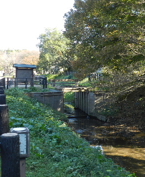 e0172950_17304459.jpg