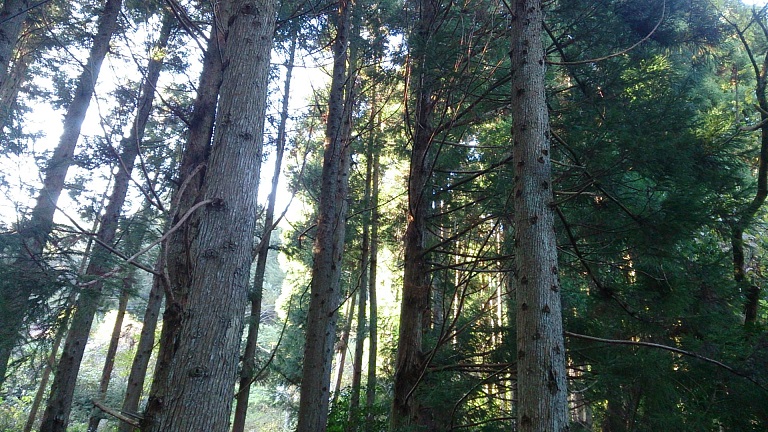 f0067354_44255100.jpg