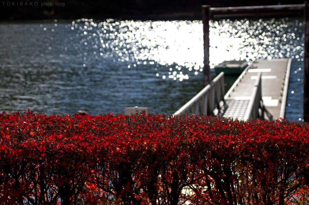 d0100156_00502188.jpg