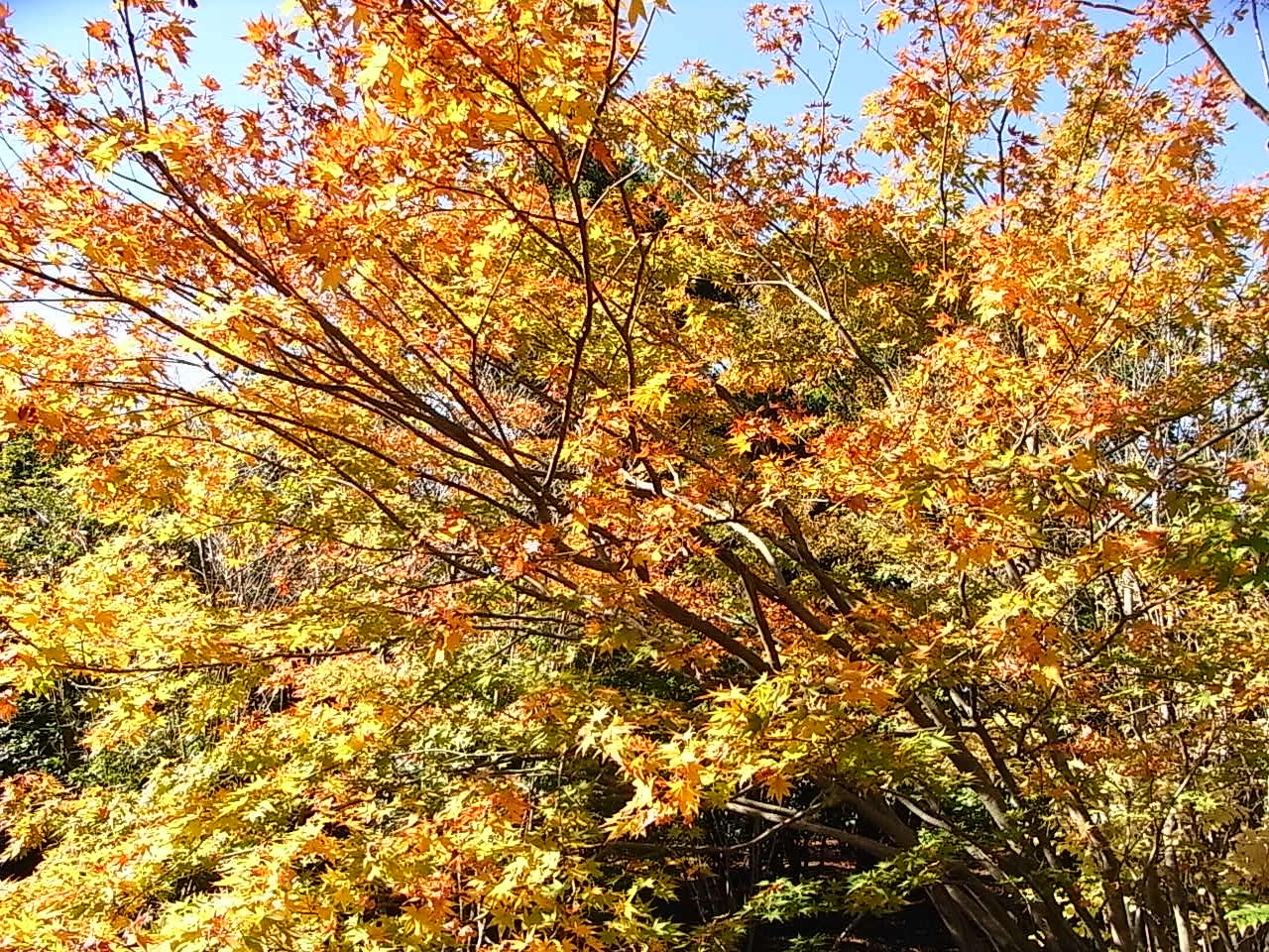 c0127058_14152860.jpg