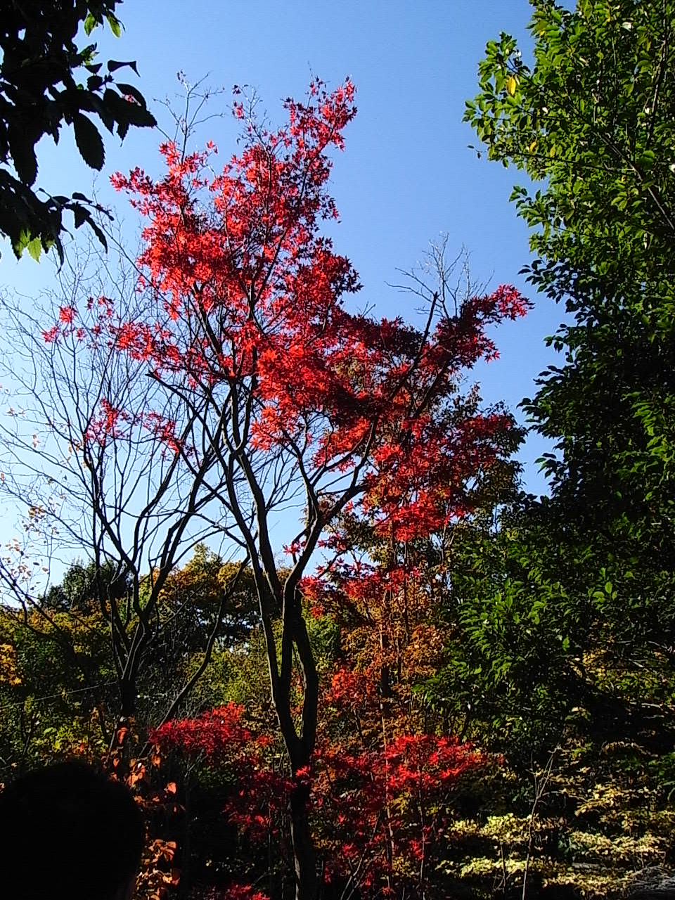 c0127058_1415316.jpg