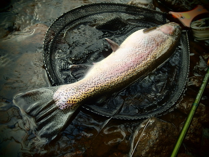 e0212759_22432487.jpg