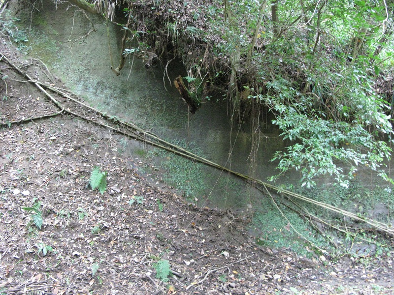 a0052762_6524099.jpg