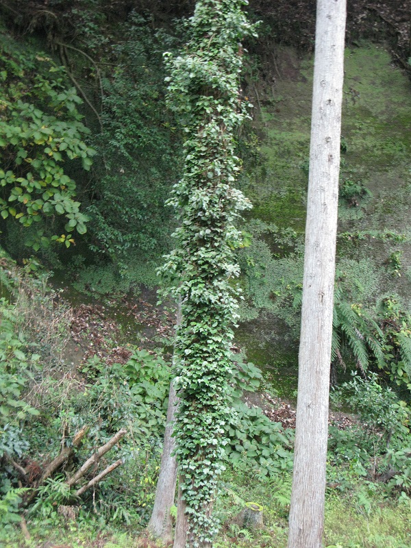 a0052762_6575172.jpg