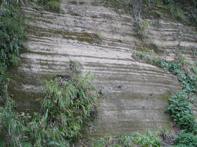 a0052762_704446.jpg