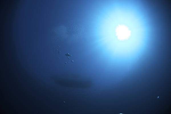 b0062363_15301797.jpg