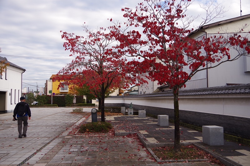 d0031171_10321284.jpg