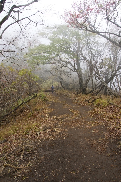 e0307372_20393832.jpg