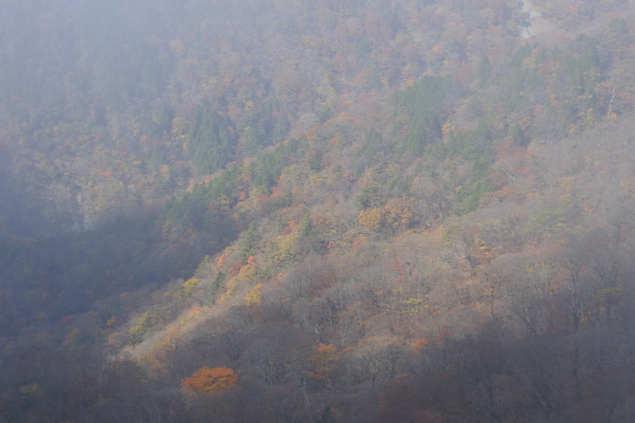 e0307372_20545309.jpg