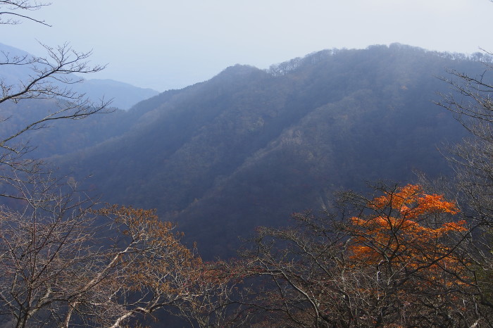 e0307372_21261490.jpg