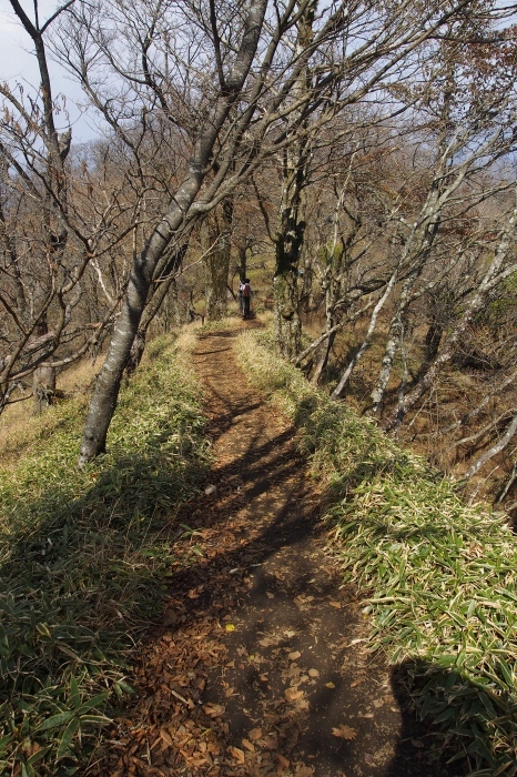 e0307372_21264404.jpg