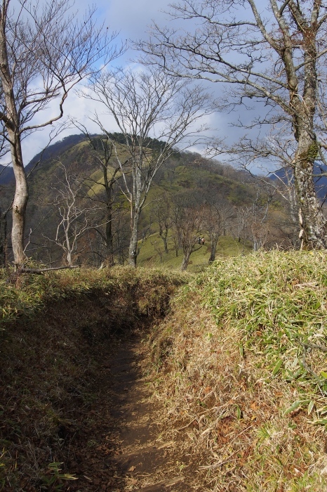 e0307372_21332864.jpg