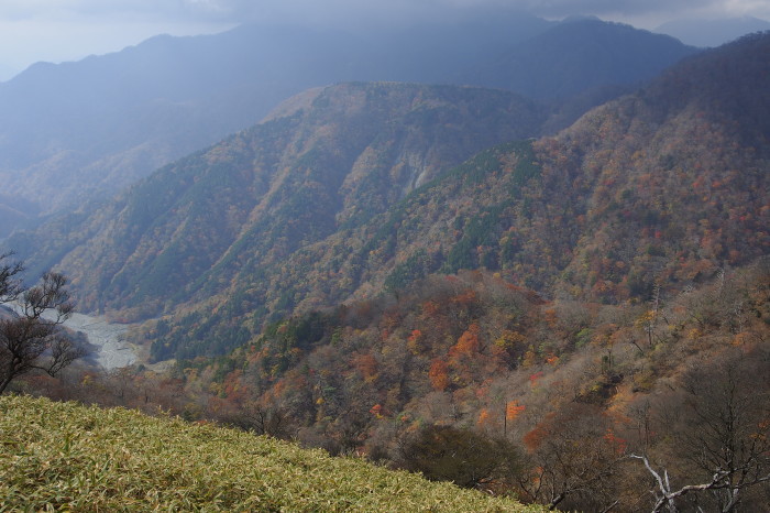e0307372_21414483.jpg