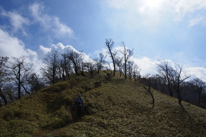 e0307372_21421290.jpg
