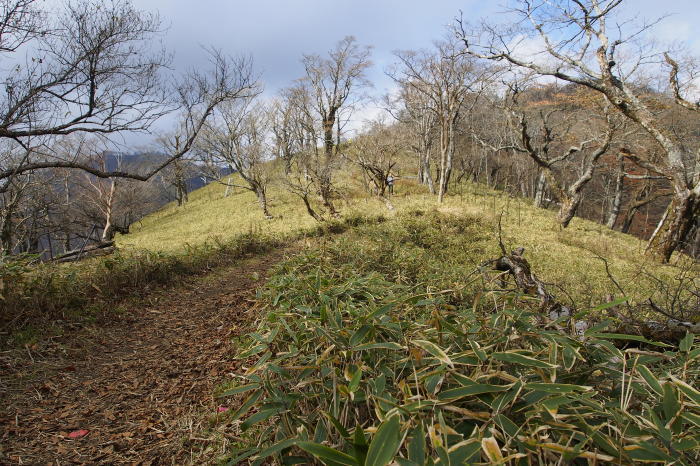 e0307372_21524934.jpg