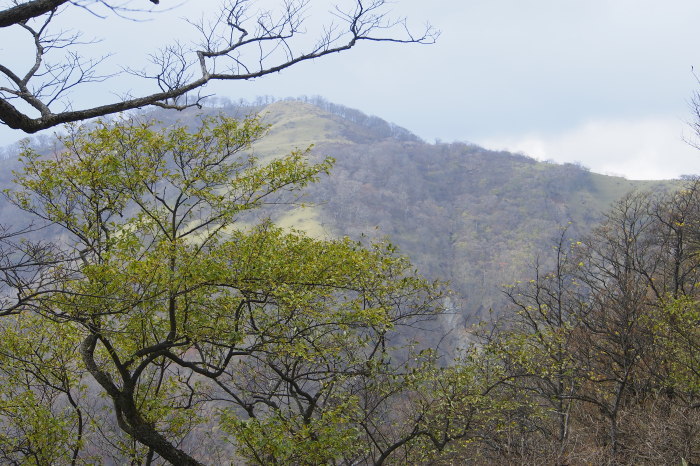 e0307372_21570575.jpg