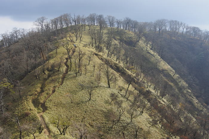 e0307372_21585992.jpg