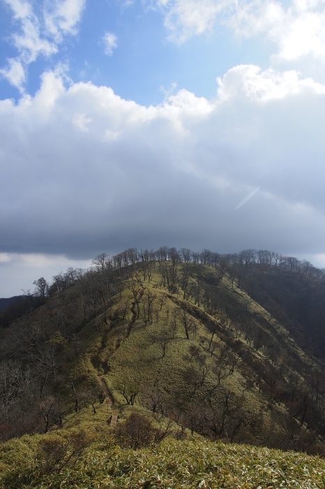 e0307372_21592865.jpg