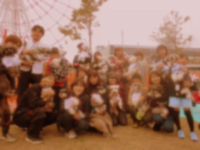 d0264176_1982322.jpg