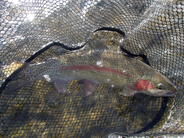 a0093677_1717425.jpg