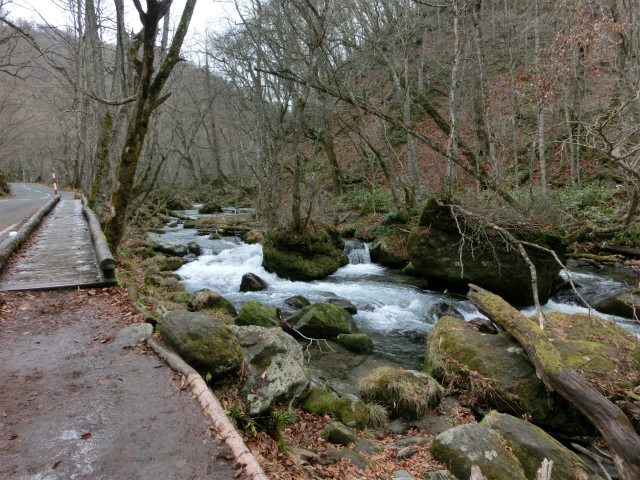 d0165378_13381332.jpg