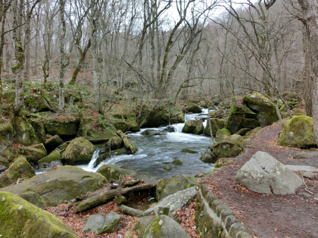 d0165378_1338376.jpg