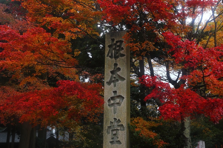 e0051888_49478.jpg