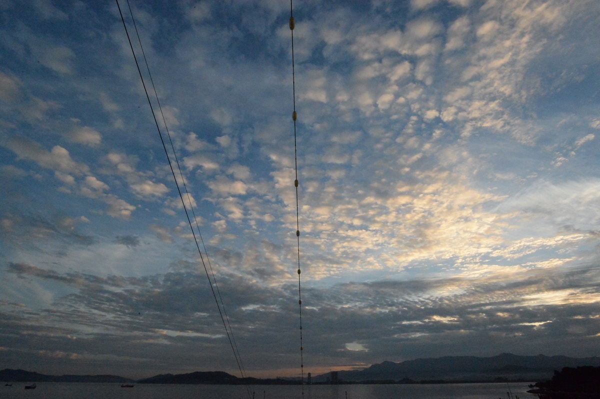 f0268294_16310013.jpg