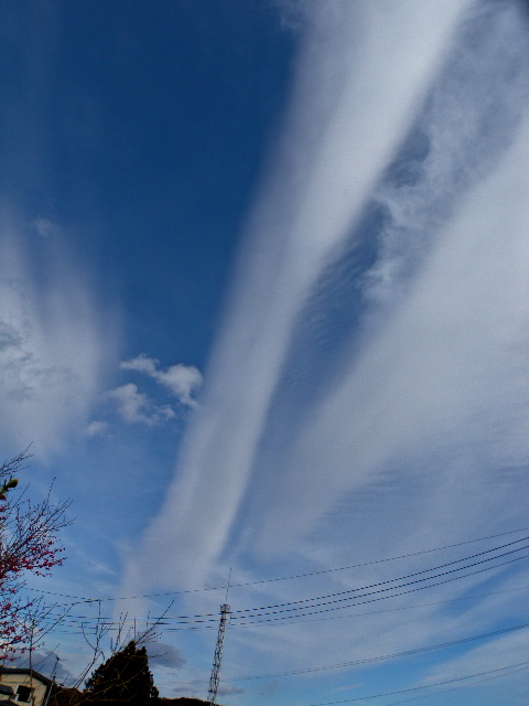 a0199297_17592821.jpg