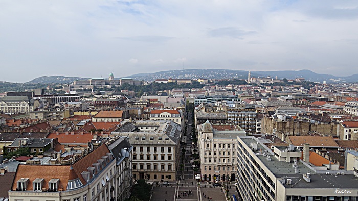 f0053297_23505018.jpg