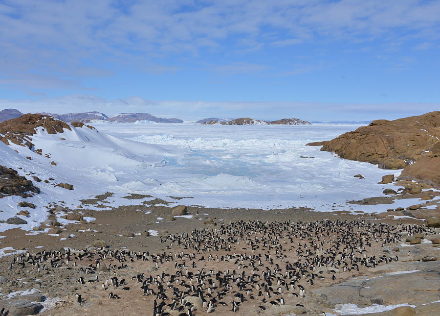 c0193901_3542262.jpg