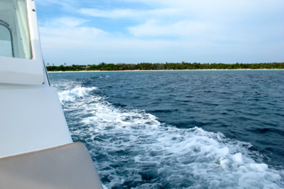 d0298808_14175829.jpg