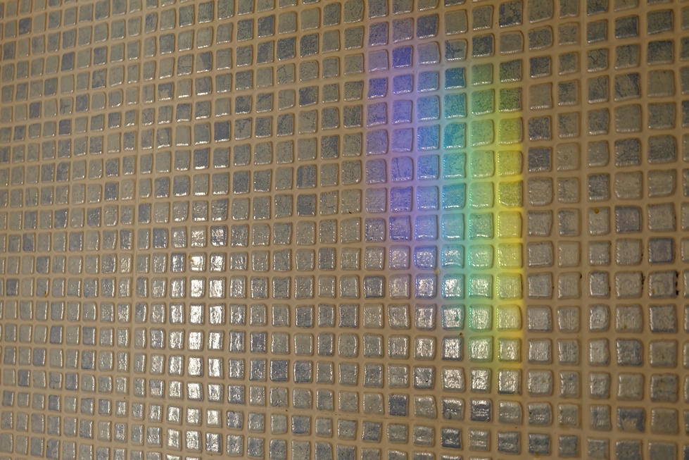 f0113108_739263.jpg