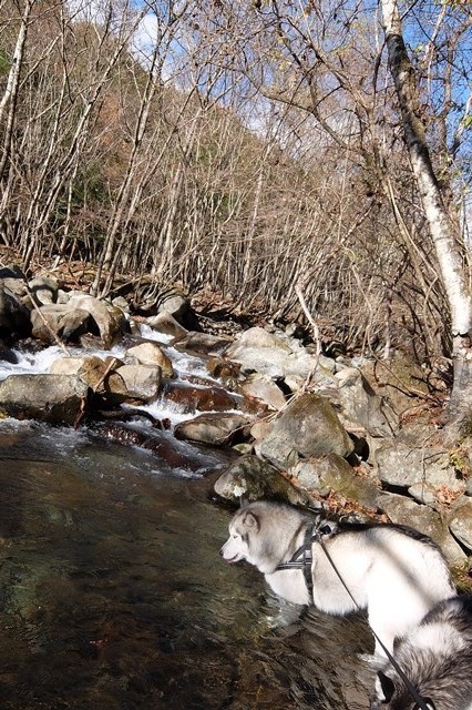 b0207615_22091467.jpg