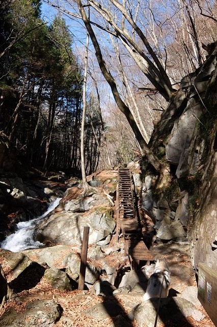 b0207615_22095556.jpg
