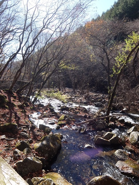b0207615_22102981.jpg
