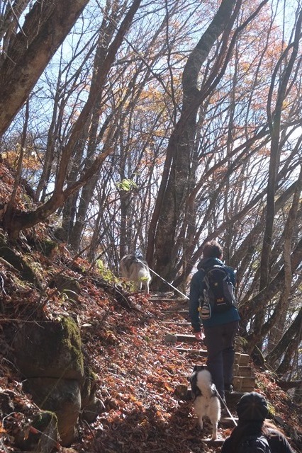 b0207615_22103170.jpg