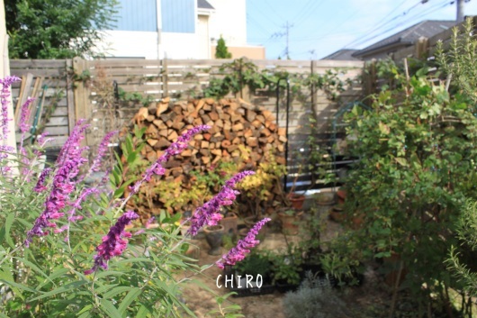 f0293522_09545323.jpg