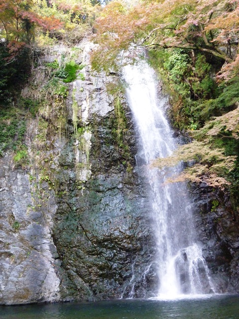 d0137326_14292042.jpg