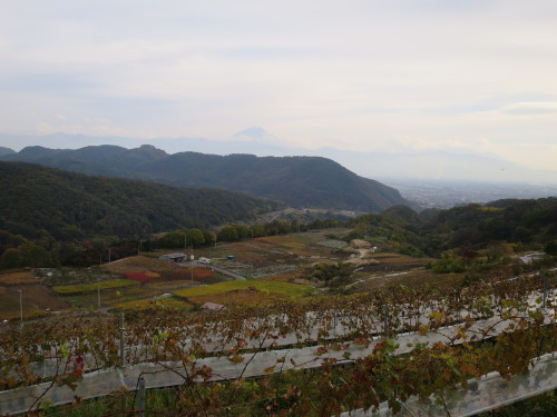 b0178339_18324445.jpg