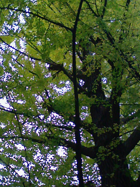 b0031140_17461877.jpg