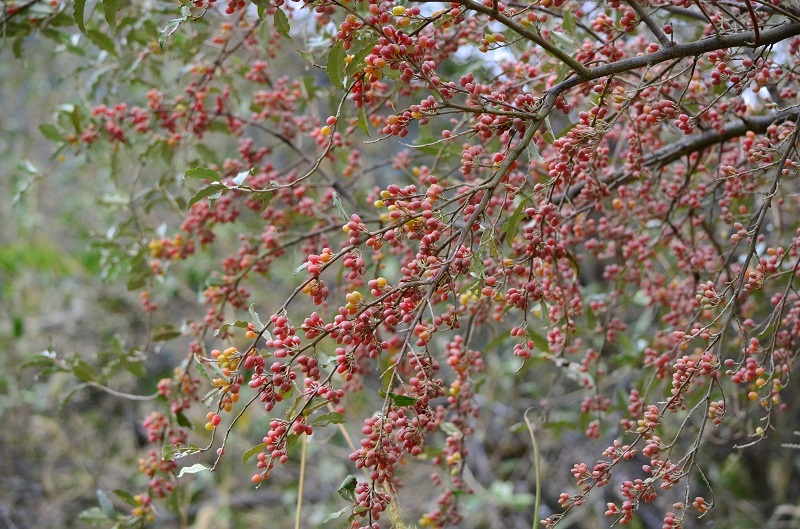 b0288942_18522568.jpg