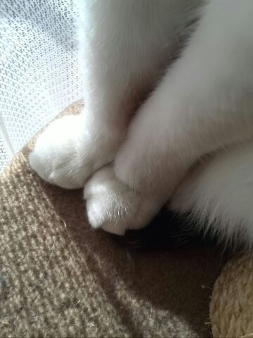 c0194042_10102946.jpg