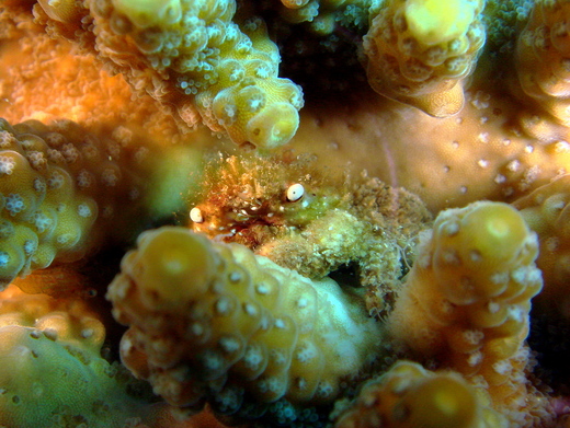 b0236647_1012932.jpg