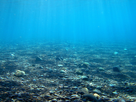 b0236647_101938.jpg