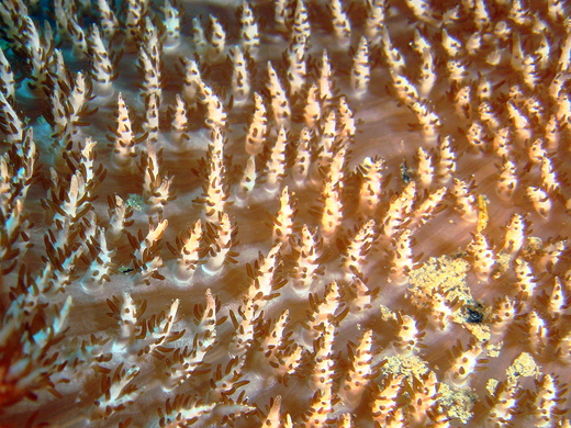 b0236647_10201583.jpg