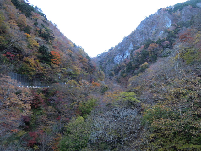e0329049_14244758.jpg