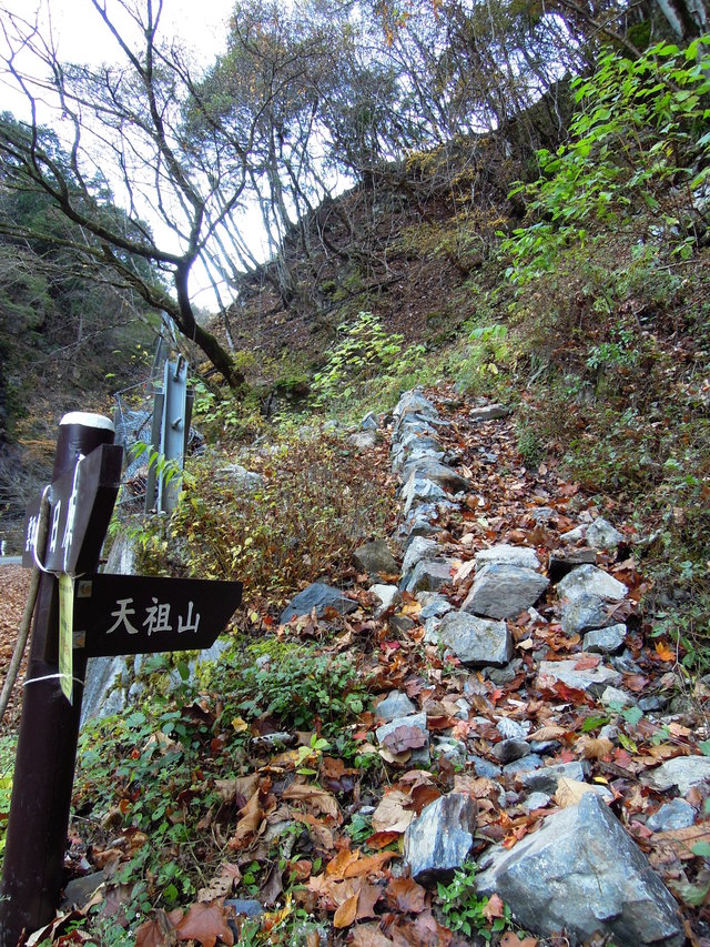 e0329049_1431286.jpg